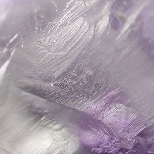 oppo find x3 pro foto microscopio