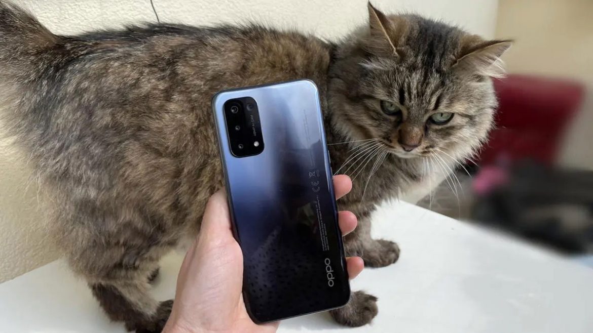 fotografare animali con smartphone oppo
