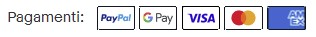 metodi pagamento ebay